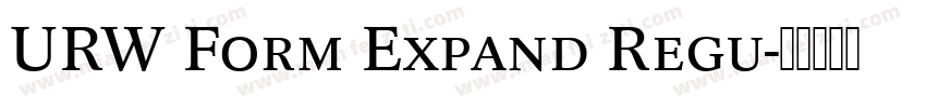 URW Form Expand Regu字体转换
